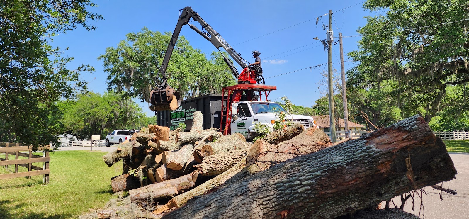 Florida Green Lawn Tree Service