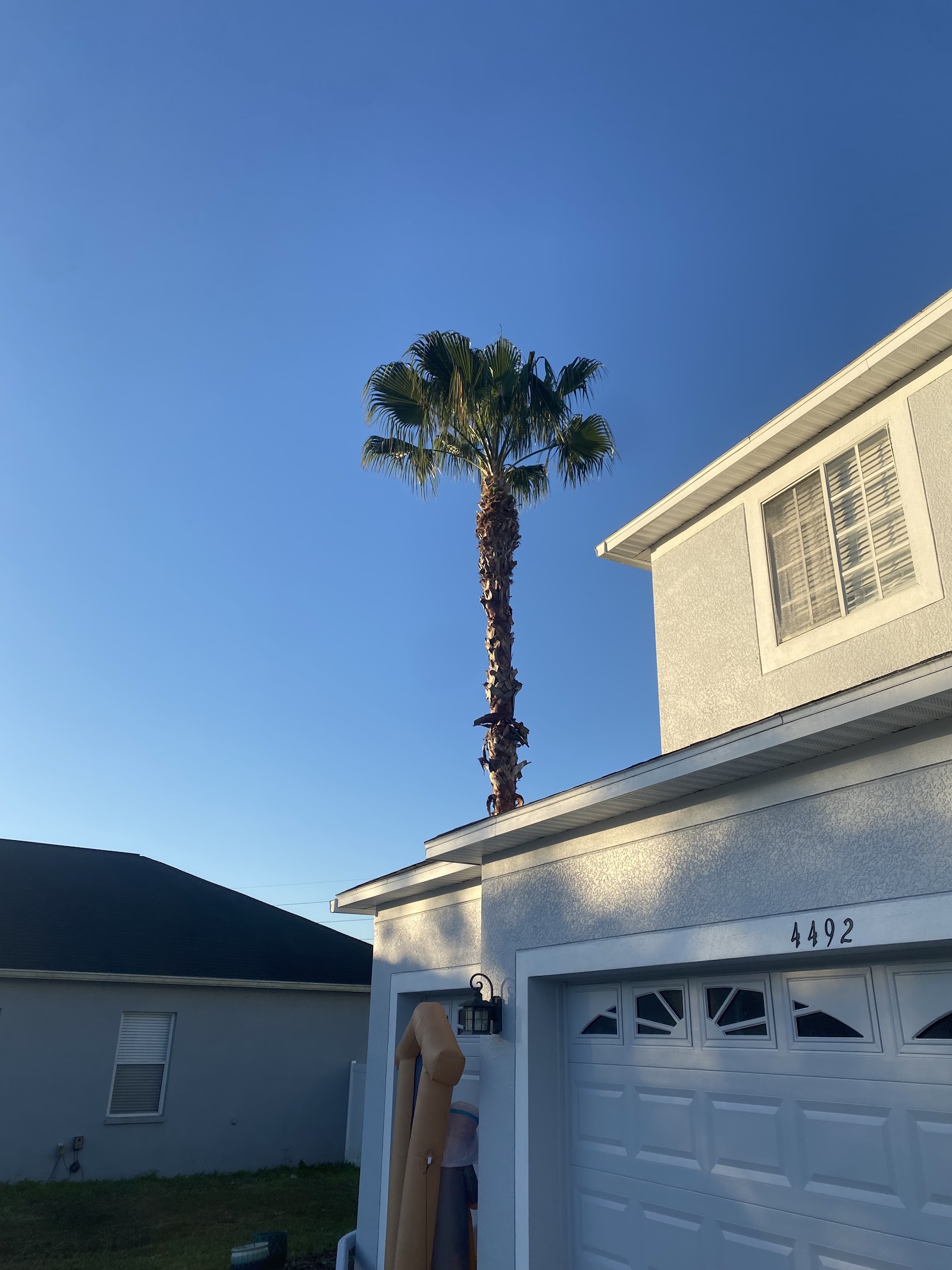 Florida Green Lawn Tree Service